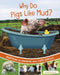 Why Do Pigs Like Mud?: Questions and Answers about Farm Animals by Katherine Rawson