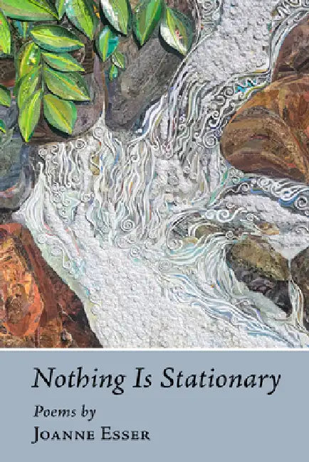 Nothing Is Stationary by Joanne Esser