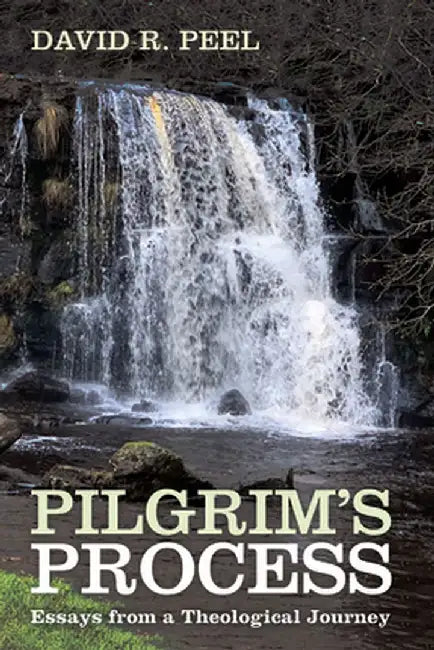 Pilgrim's Process by David R. Peel