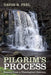 Pilgrim's Process by David R. Peel