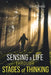 Sensing a Life through Stages of Thinking by David Boers
