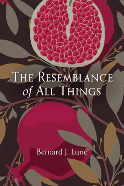 The Resemblance of All Things by Bernard J. Lurie