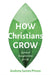 How Christians Grow: Spiritual Transformation for Life by Andrew James Prince