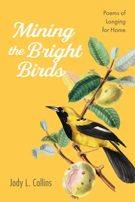 Mining the Bright Birds: Poems of Longing for Home by Jody L. Collins
