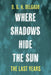 Where Shadows Hide the Sun, the Last Years by D. G. H. Delgado