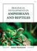 Biological Developments In Amphibians And Reptiles by Mackenzie S.