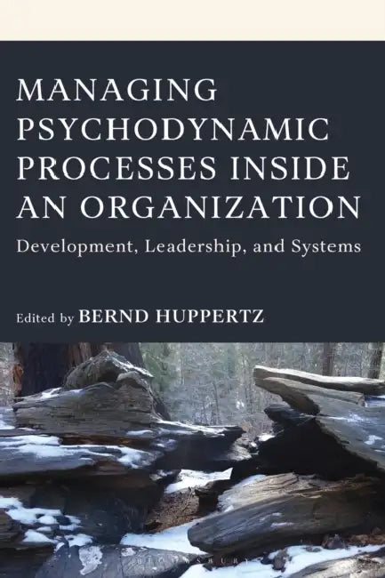 Managing Psychodynamic Processes Inside an Organization: Development, Leadership, and Systems by Bernd Huppertz