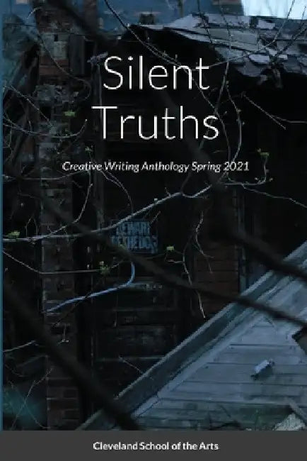 Silent Truths by Elizabeth Telich