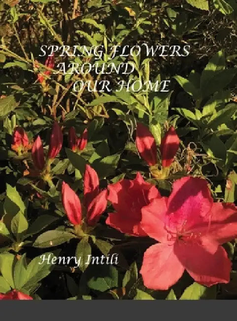 Spring Flowers by Henry Intili