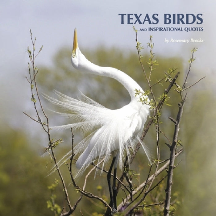 Texas Birds and Inspirational Quotes by Rosemary Brooks