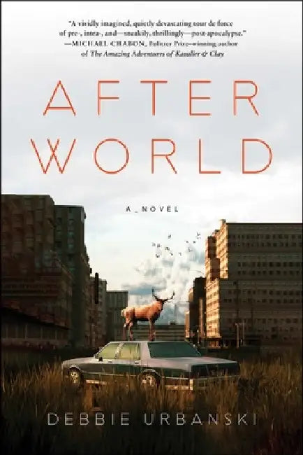After World by Debbie Urbanski