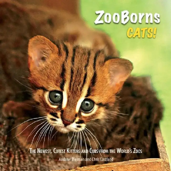 ZooBorns Cats!: The Newest, Cutest Kittens and Cubs from the World's Zoos by Andrew Bleiman