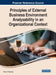 Principles of External Business Environment Analyzability in an Organizational Context by Bruno F. Abrantes