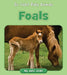 Foals by Julia Jaske