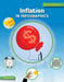 Inflation in Infographics by Christina Hill