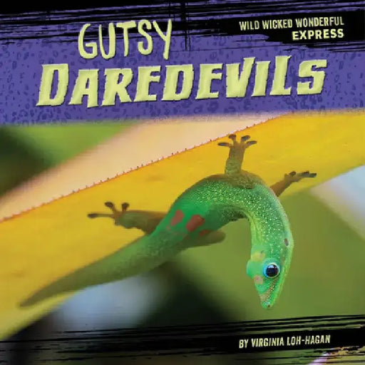 Gutsy Daredevils by Virginia Loh-Hagan