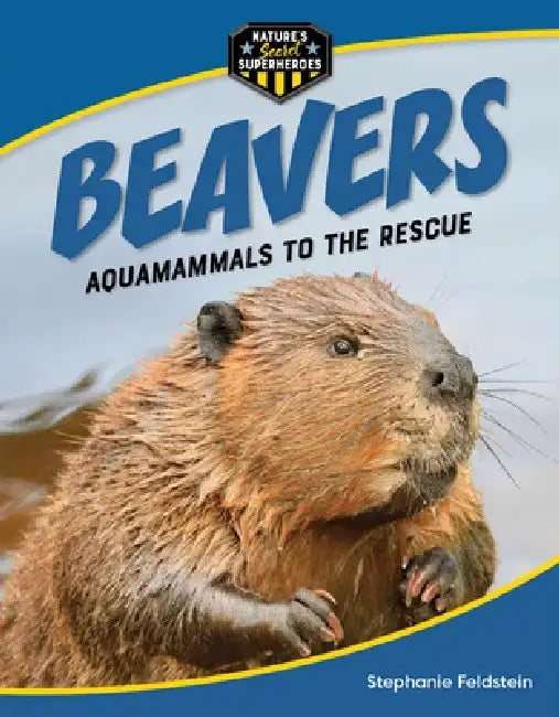 Beavers: Aquamammals to the Rescue by Stephanie Feldstein