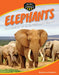 Elephants: The League of Extraordinary Giants by Stephanie Feldstein