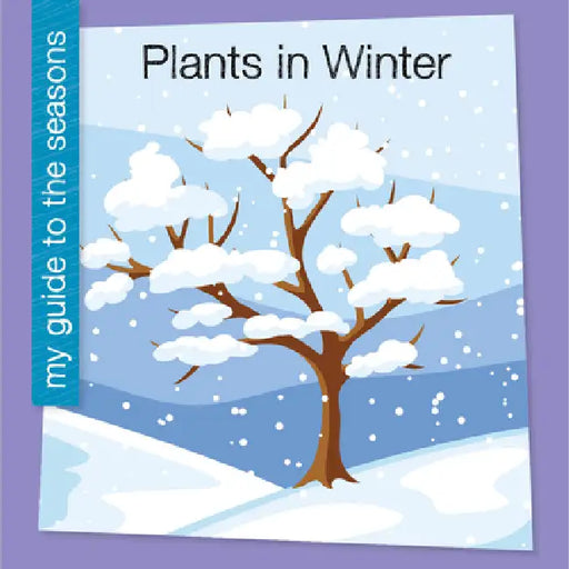 Plants in Winter by Rebecca Felix