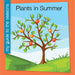 Plants in Summer by Rebecca Felix