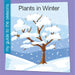 Plants in Winter by Rebecca Felix