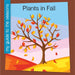 Plants in Fall by Rebecca Felix