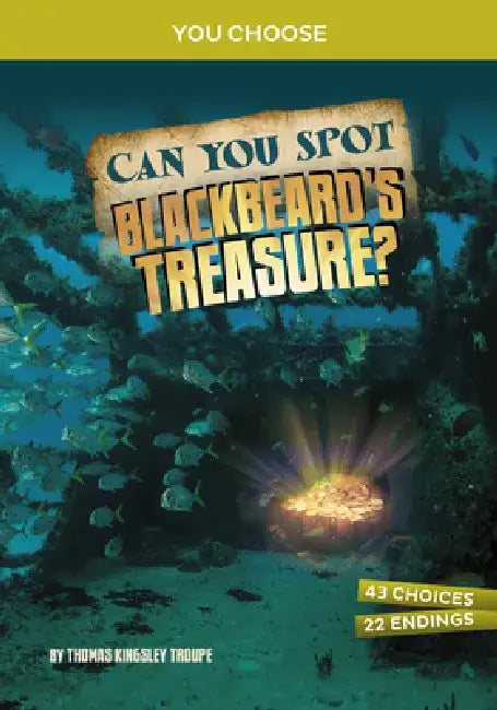 Can You Spot Blackbeard's Treasure?: An Interactive Treasure Adventure by Thomas Kingsley Troupe