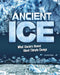 Ancient Ice: What Glaciers Reveal about Climate Change by Golriz Golkar