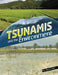 Tsunamis and the Environment by Ailynn Collins