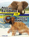 African Elephant vs. Woolly Mammoth by Charles C. Hofer