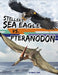 Steller's Sea Eagle vs. Pteranodon by Charles C. Hofer