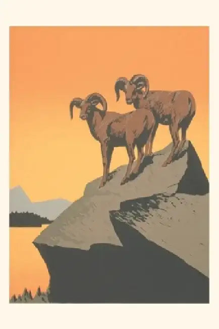 Vintage Journal Big Horn Sheep on Rocks by Found Image Press
