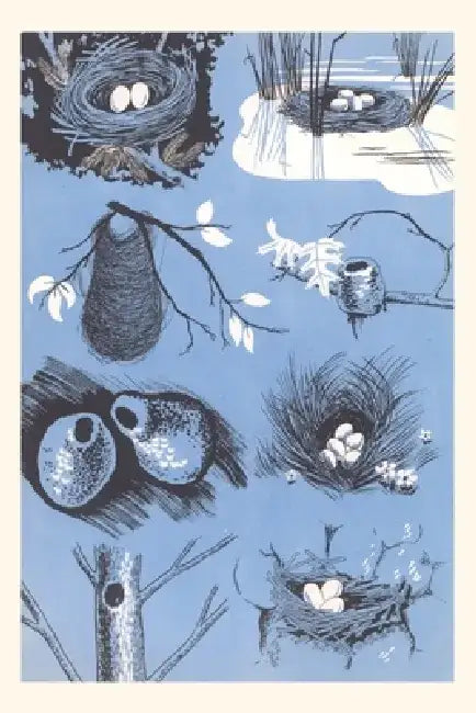 Vintage Journal Bird`s Nests by Found Image Press