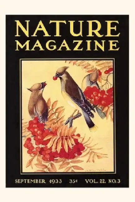 Vintage Journal Nature Magazin Cover, Birds by Found Image Press