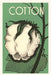 Vintage Journal Cotton Boll by Found Image Press