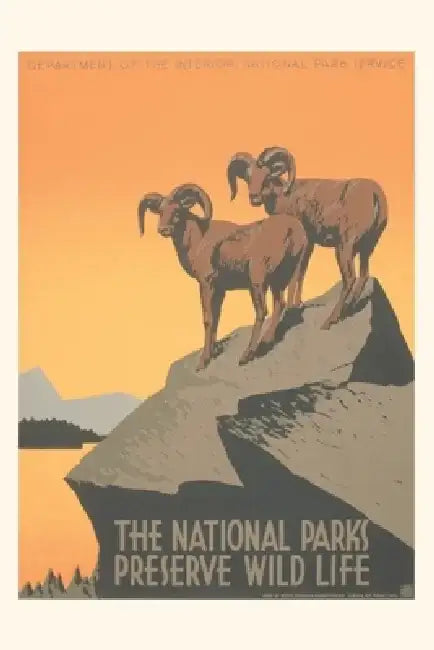 Vintage Journal Big Horn Sheep, Travel Poster by Found Image Press