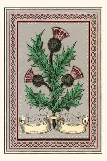 Vintage Journal Thistle by Found Image Press