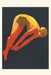 Vintage Journal Diving Poster by Found Image Press