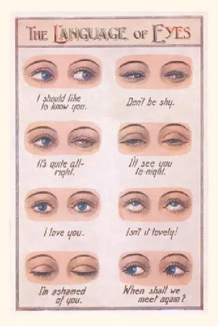 Vintage Journal Language of Eyes by Found Image Press
