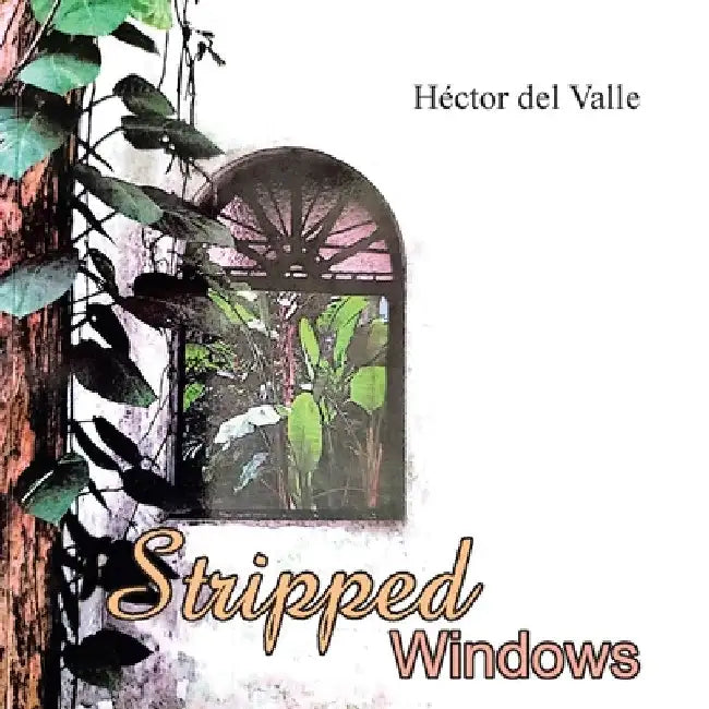 Stripped Windows by Héctor del Valle