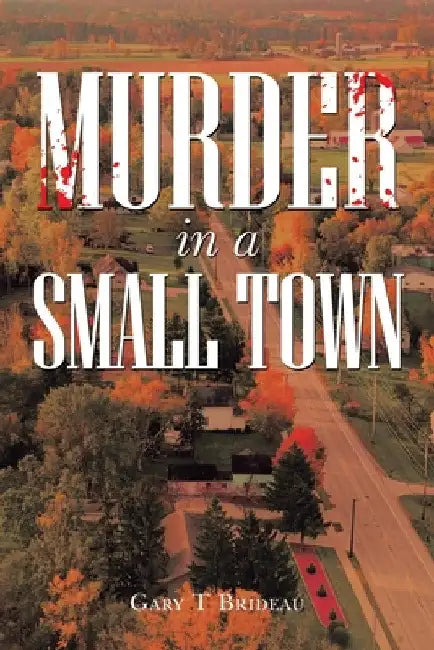 Murder in a Small Town by Gary T. Brideau