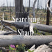 Searching for Shade by Nancy L. Stimson