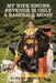 My Wife Knows Revenge Is Only a Baseball Moon by Robert McKenna