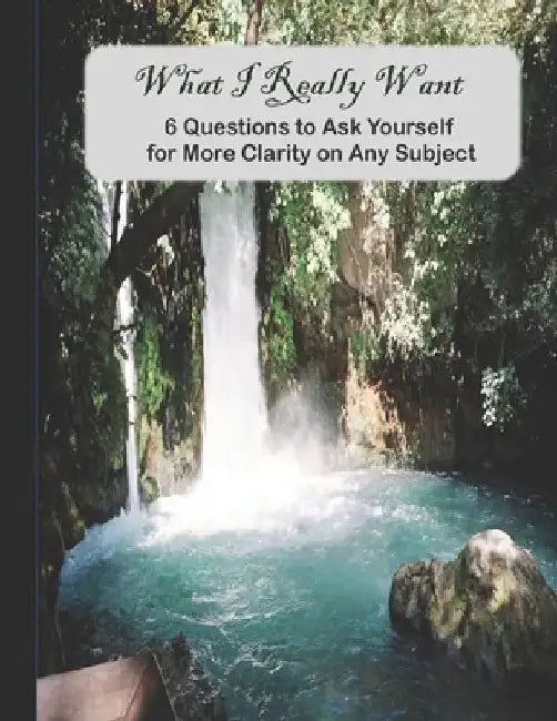What I Really Want: 6 Questions to Ask Yourself for More Clarity on Any Subject by Hemlock Lane Design