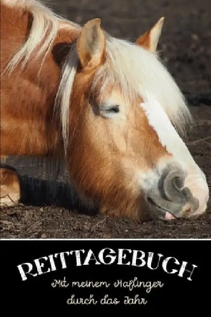 Reittagebuch: Das Reit- und Trainingsbuch zum Ausfüllen für über 200 Reiteinheiten - Mit meinem Haflinger durch das Jahr - Jahreskal by Publishing, Reitstall