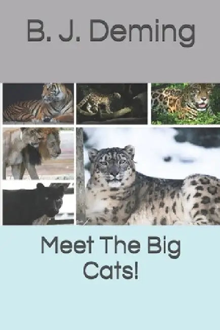 Meet The Big Cats! by B. J. Deming