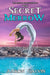 The Secret Merrow by Aaron Galvin
