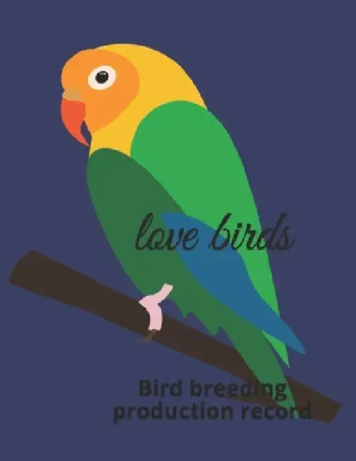 Love birds: Bird breeding production record by Abdelmounaime Birds4hobby Mourchid
