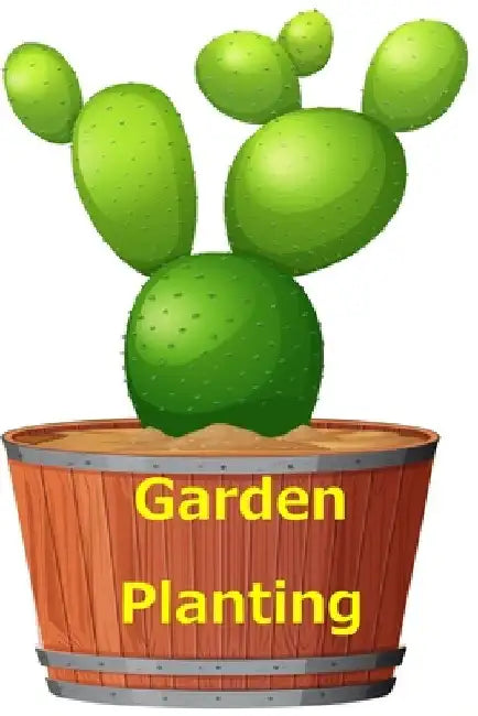 garden planting: Garden Planting Guide by Rabah Boughris