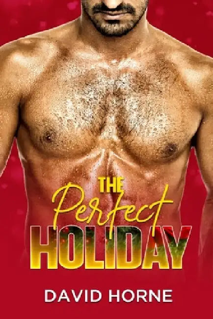 The Perfect Holiday by David Horne